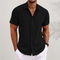 Men's Shirt - Collared Button - Mason - product view 2